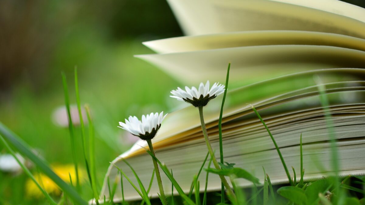 Sommer – Buchtipps