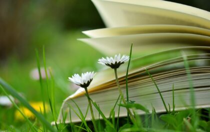 Quelle: congerdesign-a-book